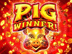 Grandevegas pig winner with exclusive bonus free spins!